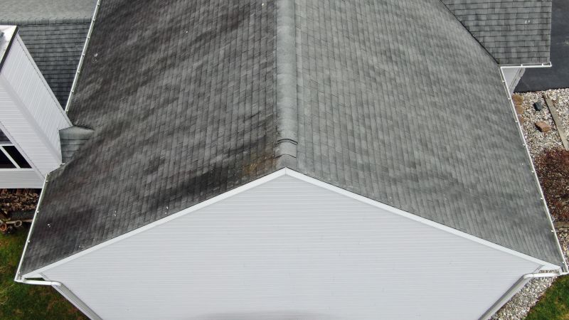 Asphalt Roof Inspection