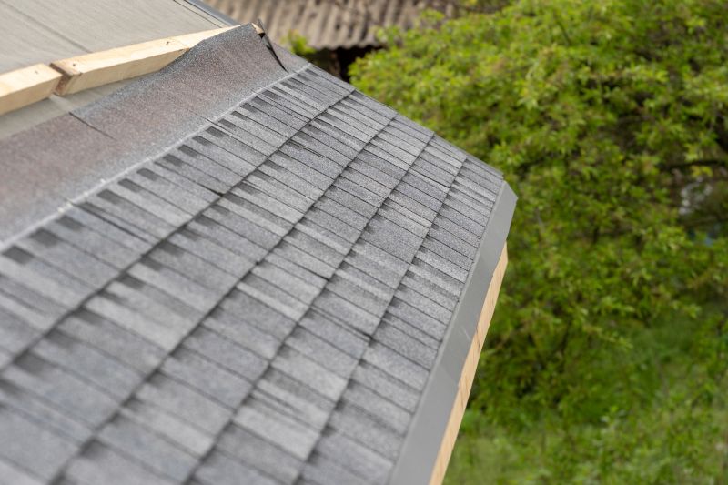 Damaged Roof Repair