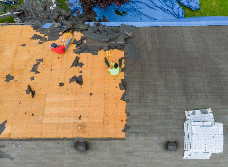 Damaged Roof Replacement detail