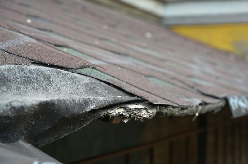 Dormer Repair detail