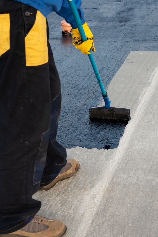Tpo Roof Coating Service detail