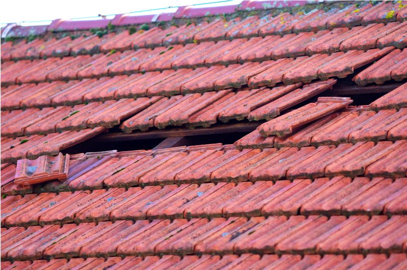Roof Damage Inspection