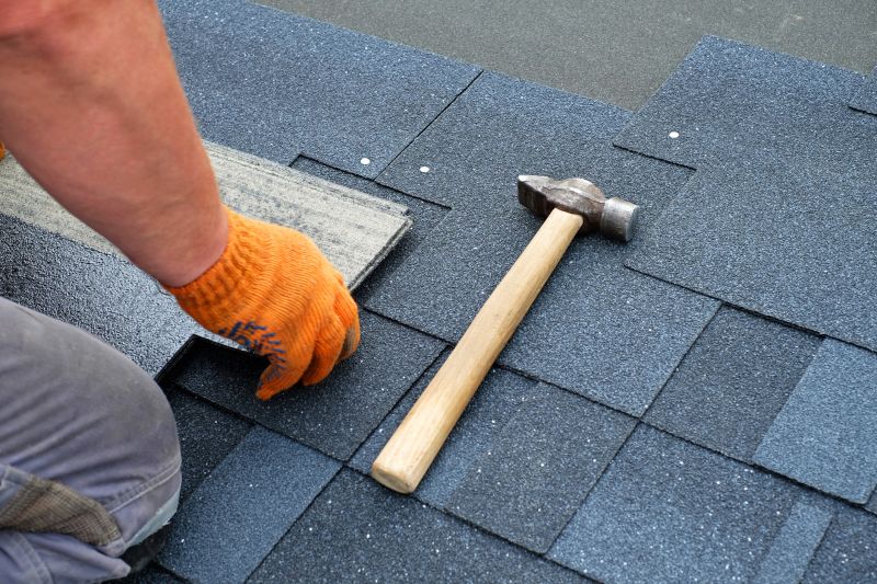 Shingle Repair